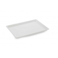 PLEXI dish. B17 - 335X260X17mm - white