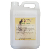ÉCLAT SAVON brunisseuse 5L