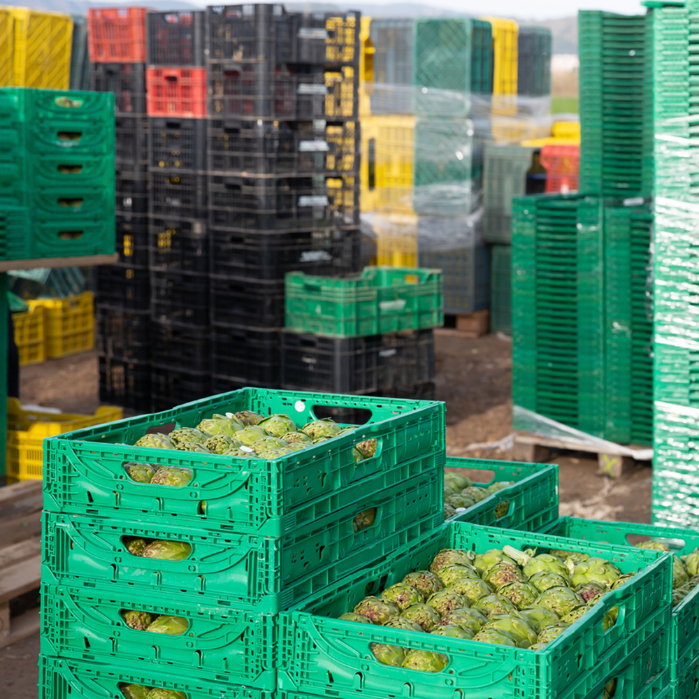 600x400 food bins in a cold room