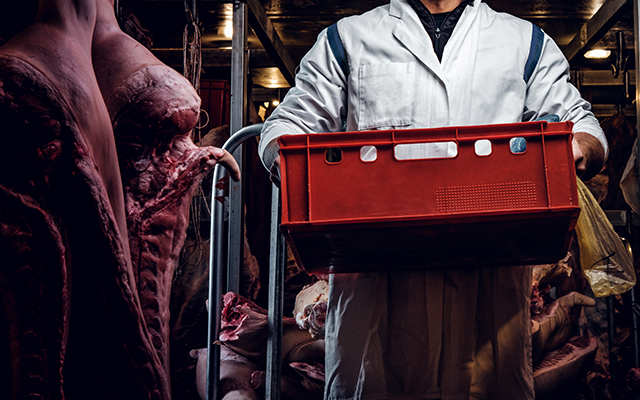 Storage bins for meat and cold rooms